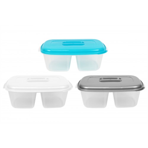 RSW 2 SECTION FOOD CONTAINER 27X17X9CM