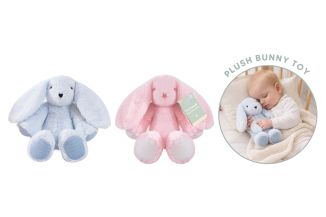 Hugs & Kisses Plush Soft Bunny