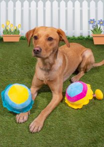 Smart Choice Summer Beach Parasol Plush Dog Toy 3 Colours