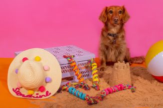 Smart Choice Summer Rubber & Rope Spiral Dog Toy 4 Colours