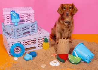 SUMMER COOLING RUBBER DOG TOY 3 ASSORTED DESIGNS