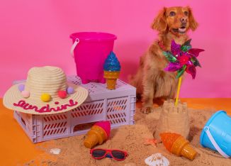 Smart Choice Cooling Rubber Ice Cream Dog Toy 3 Cols