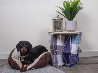 Sweet Dreams Classic Faux Suede Pet Bed Lge 2 Assorted Colours