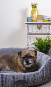 Sweet Dreams Milton Premium Patterned Pet Bed Med 58x48x20cm