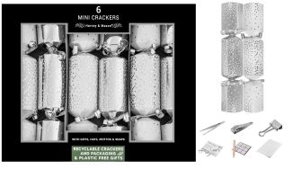 Harvey & Mason 6 Mini 8.5" Crackers Silver Scatter