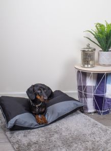 Sweet Dreams Waterproof Pet Cushion Small 70x45cm